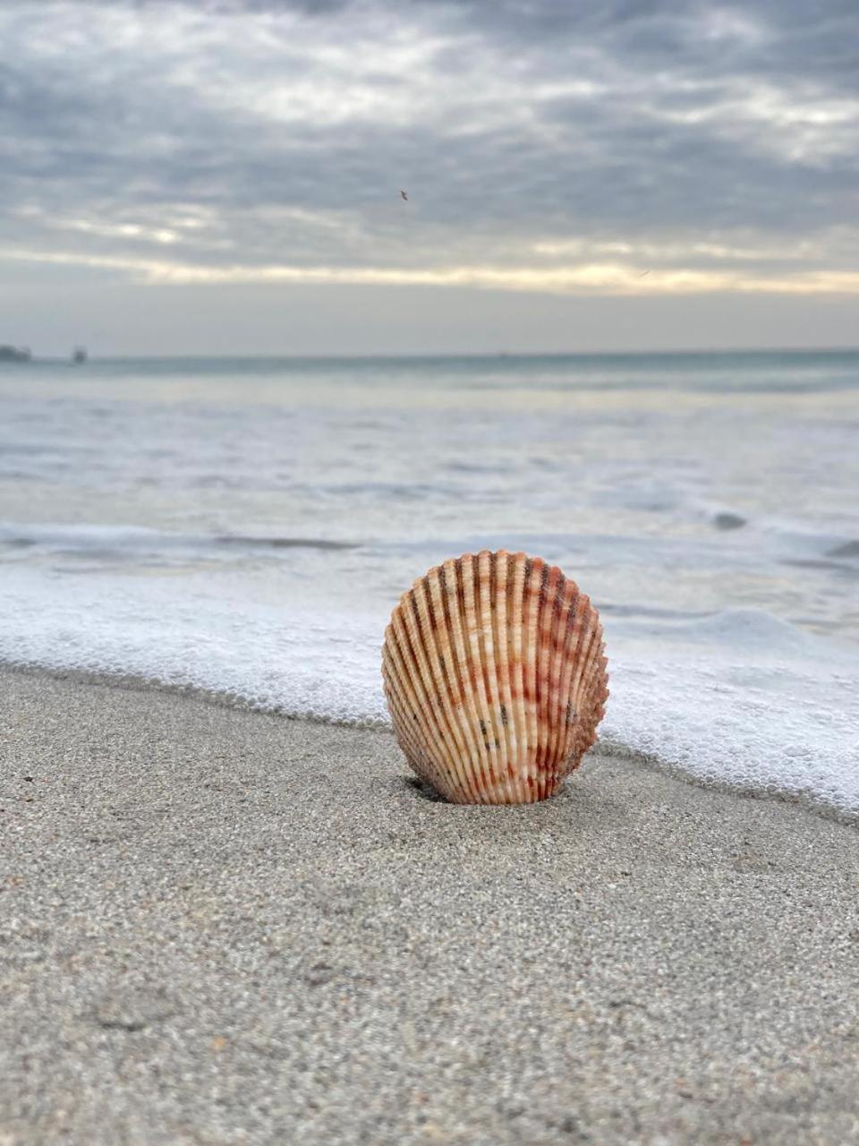 Ceylon Beach Haven Uppuveli 트링코말리 외부 사진