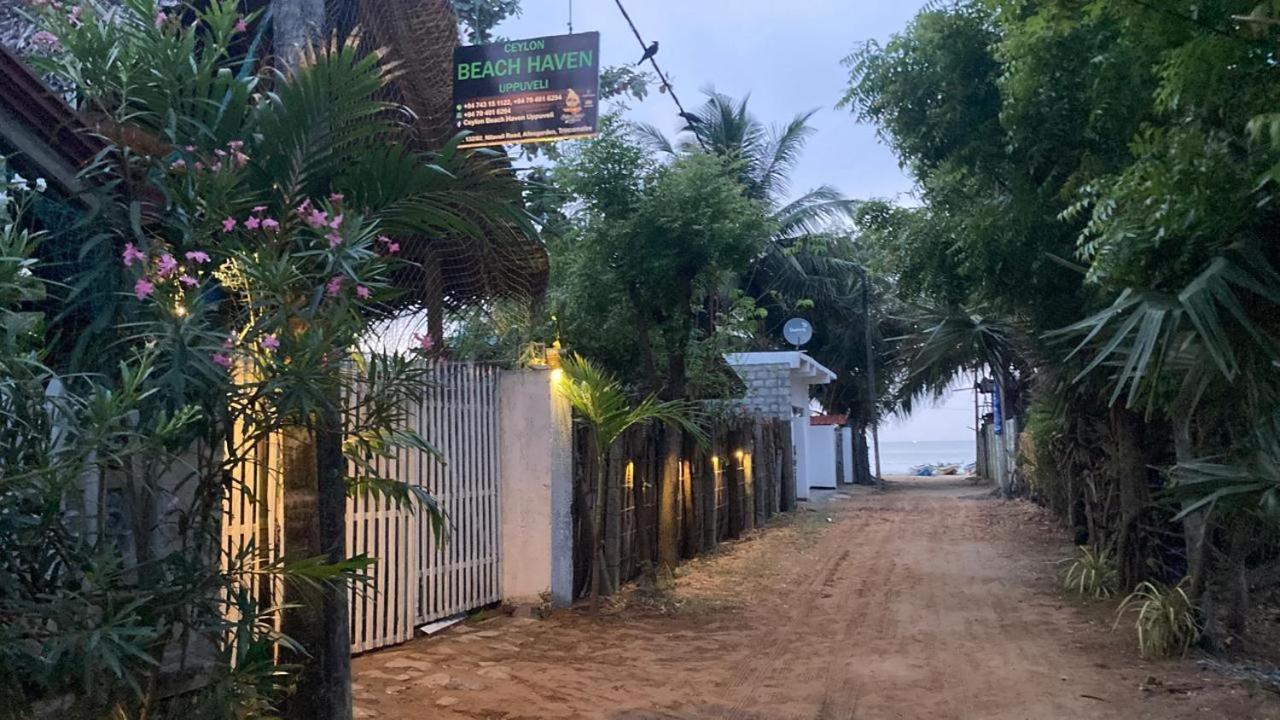 Ceylon Beach Haven Uppuveli 트링코말리 외부 사진