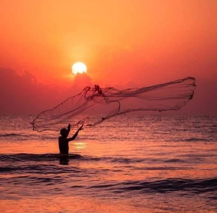 Ceylon Beach Haven Uppuveli 트링코말리 외부 사진